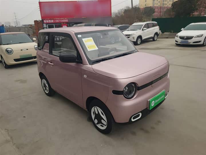 Фото 4 - Geely Galaxy Panda Mini