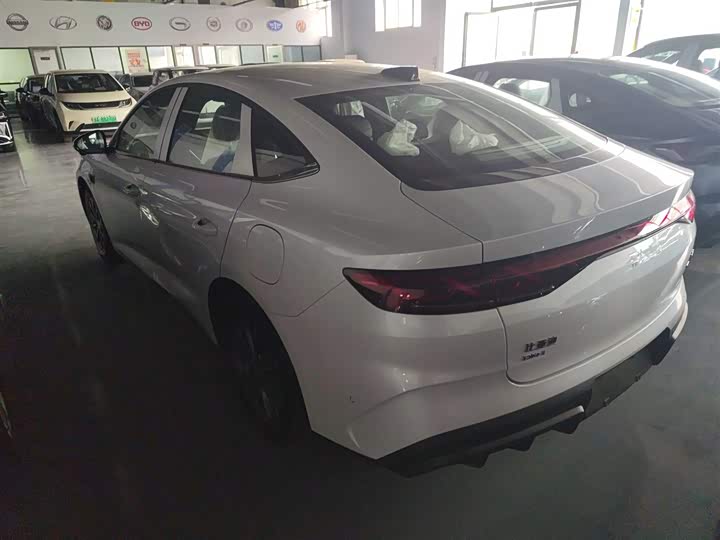 Фото 5 - BYD Qin L