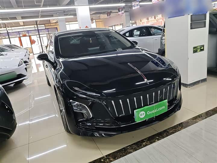 Фото 4 - Hongqi E-QM5