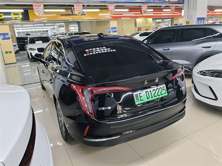 Фото 5 - Hongqi E-QM5