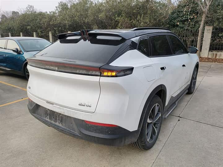 Фото 7 - Hedmos 06