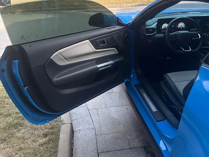 Фото 8 - Ford Mustang