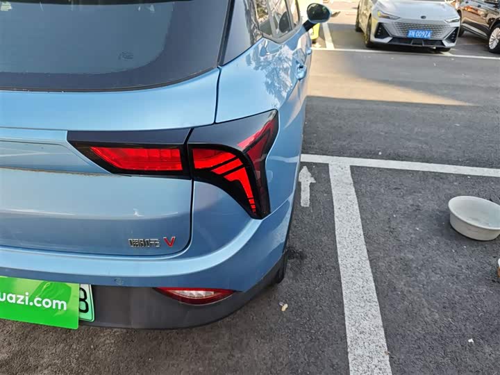 Фото 8 - Hozon V