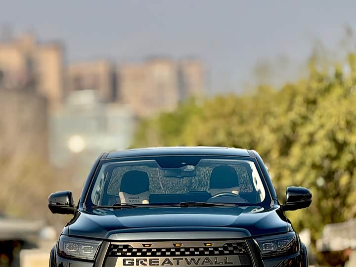 Фото 3 - Great Wall Pao