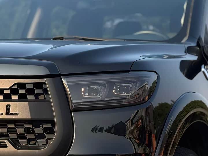 Фото 4 - Great Wall Pao