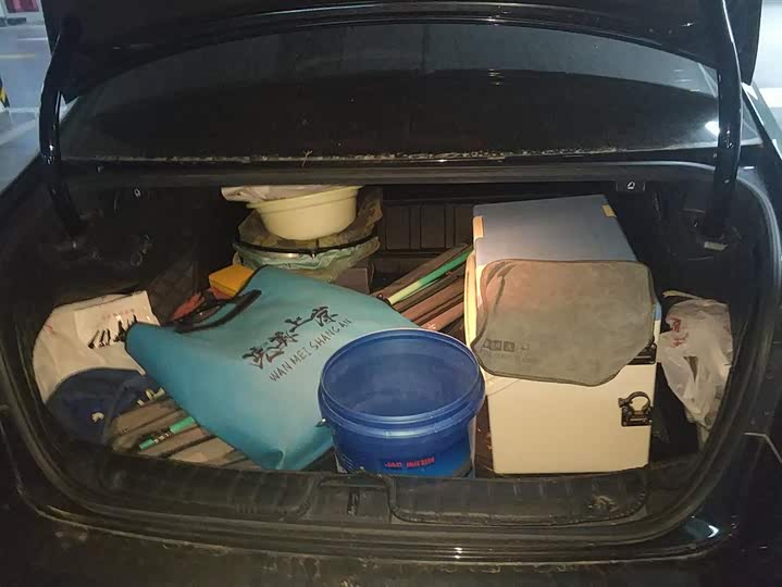 Фото 4 - Volkswagen Magotan