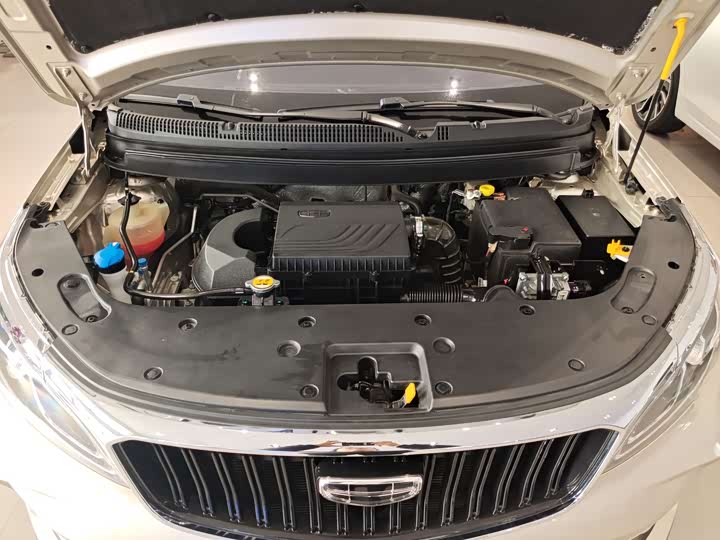 Фото 6 - Geely Vision X3