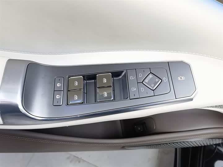 Фото 9 - Denza Z9