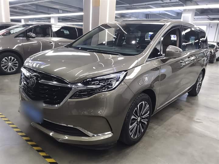 Фото 1 - Buick GL8 ES