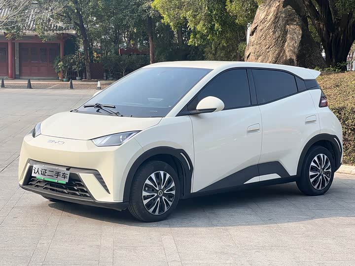 Фото 1 - BYD Seagull