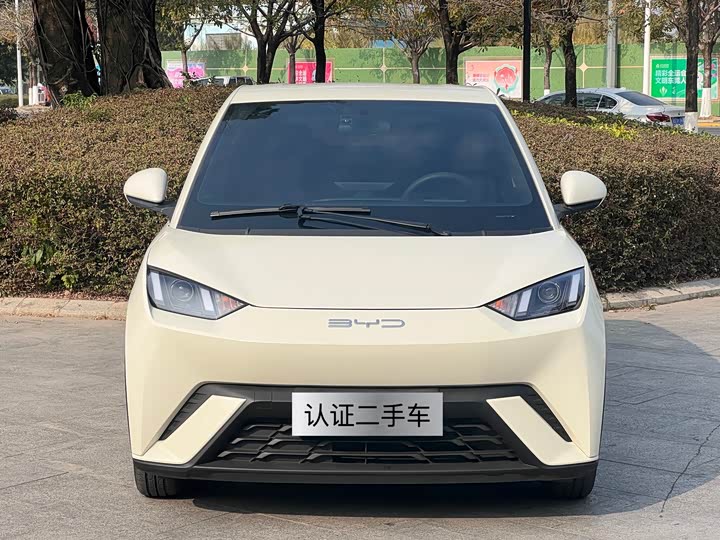 Фото 2 - BYD Seagull