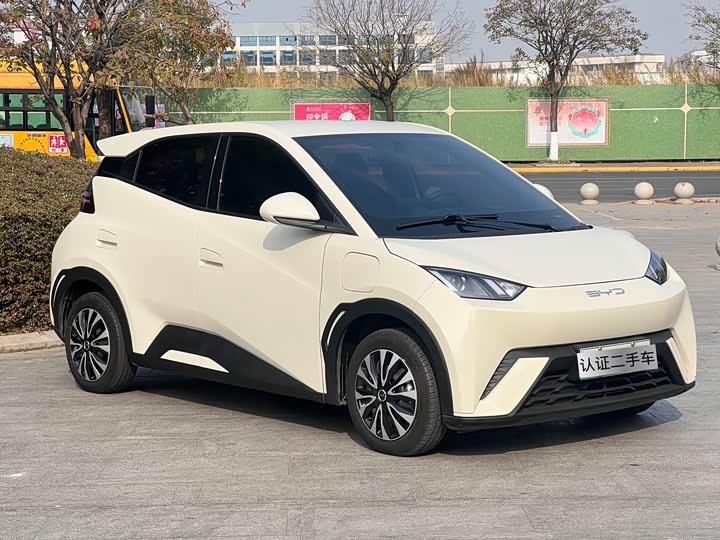 Фото 3 - BYD Seagull