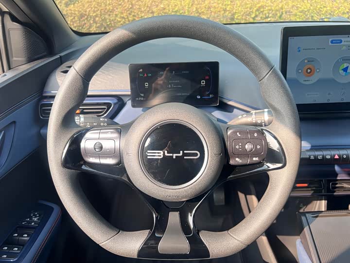 Фото 8 - BYD Seagull