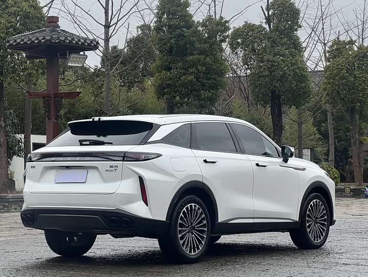 Фото 4 - Exeed RX