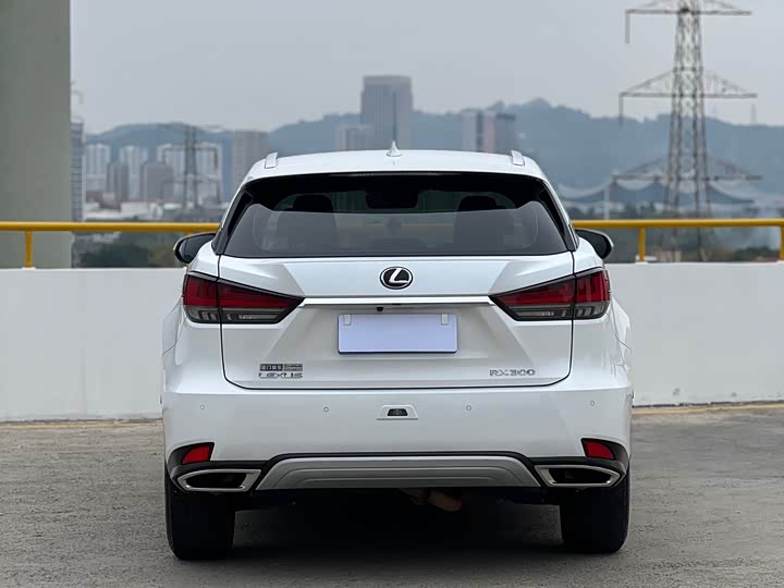 Фото 5 - Lexus RX