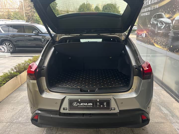 Фото 8 - Lexus UX