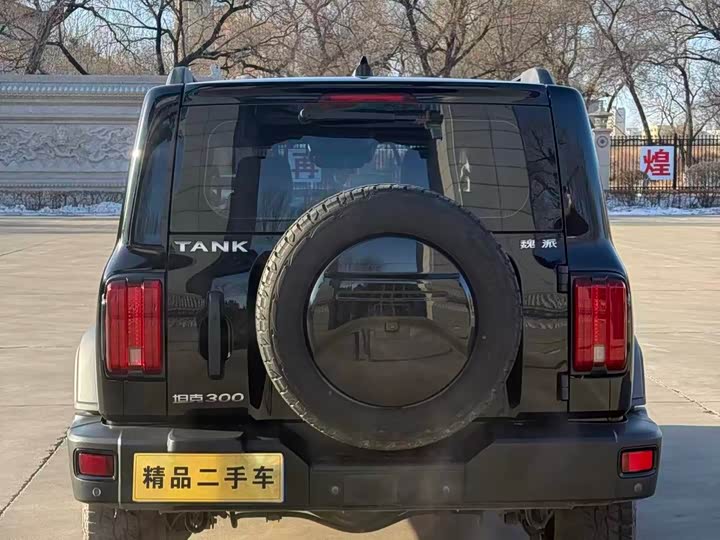 Фото 5 - Tank 300