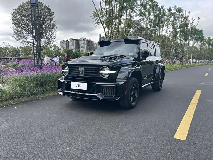 Фото 1 - Tank 300