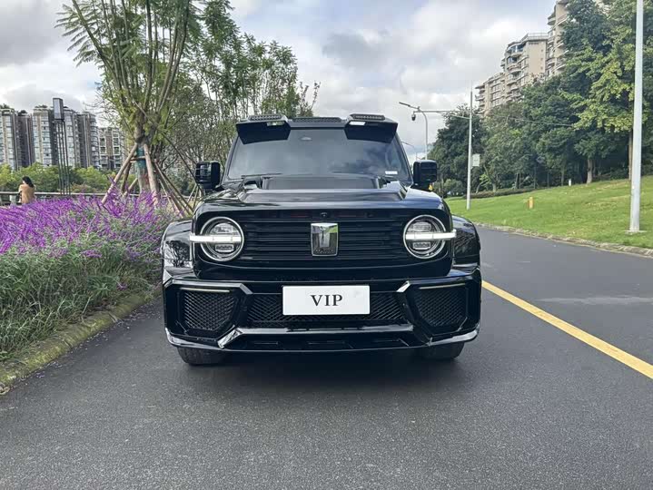 Фото 2 - Tank 300