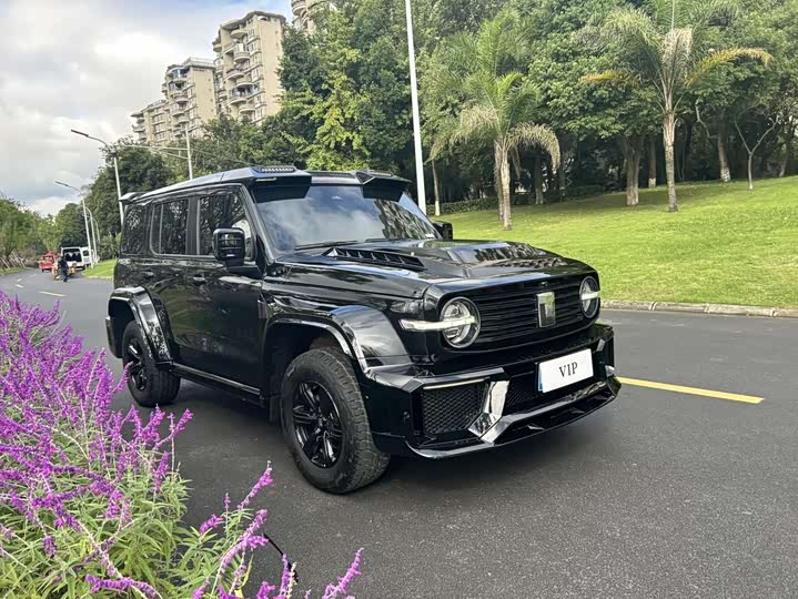 Фото 3 - Tank 300