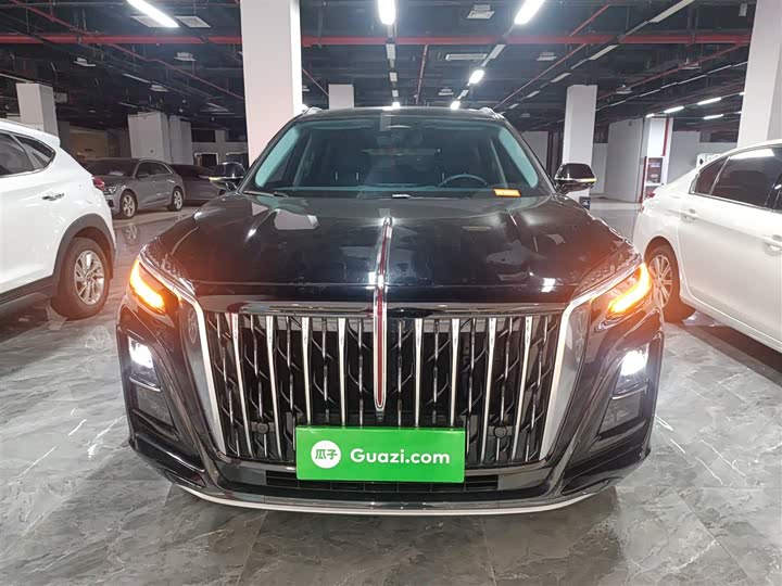 Фото 3 - Hongqi HS3