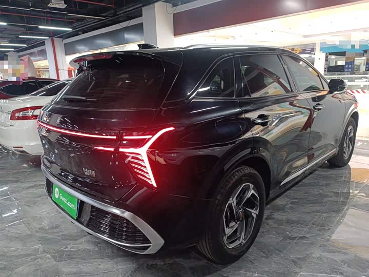 Фото 7 - Hongqi HS3