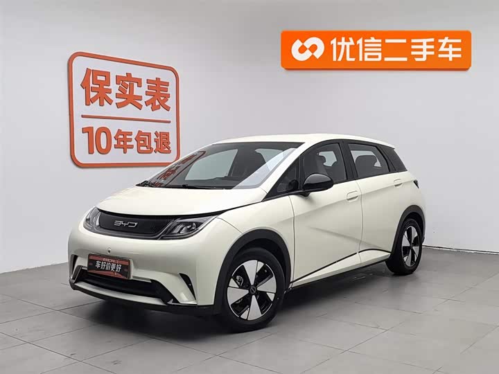 Фото 1 - BYD Dolphin