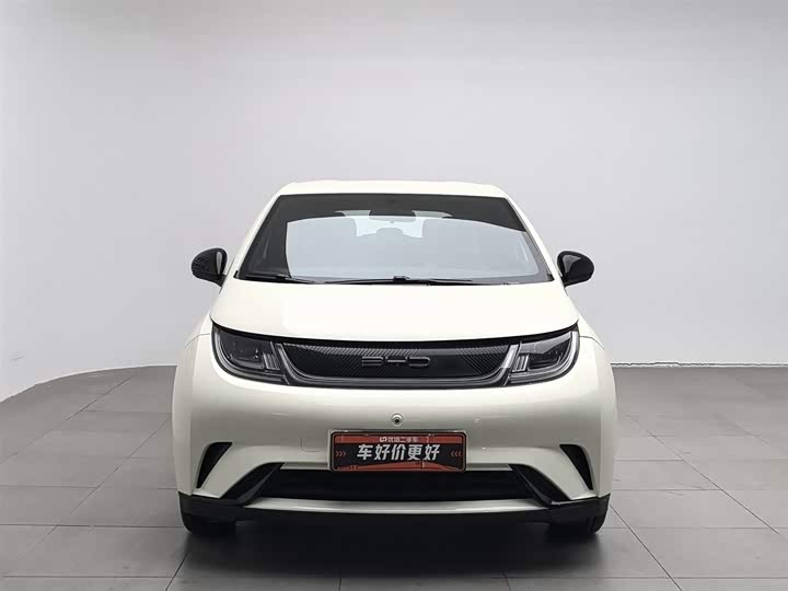 Фото 3 - BYD Dolphin