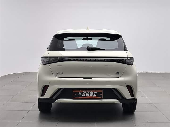 Фото 4 - BYD Dolphin