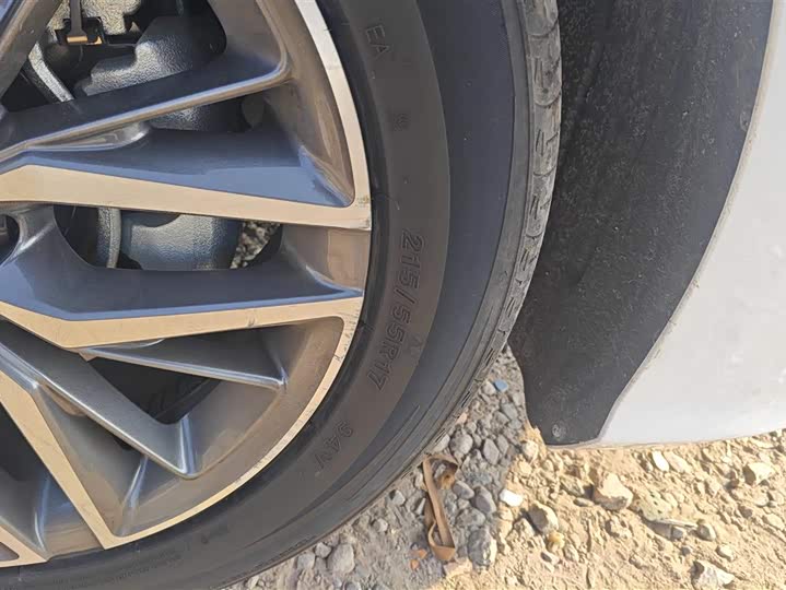 Фото 6 - BYD Qin Plus