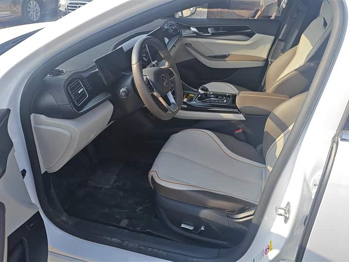 Фото 9 - BYD Qin Plus