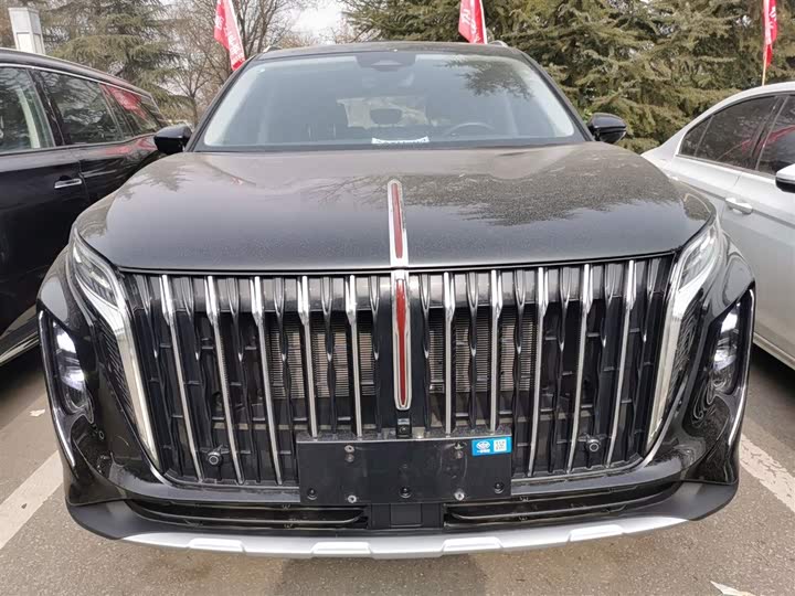 Фото 3 - Hongqi HS7 Hybrid