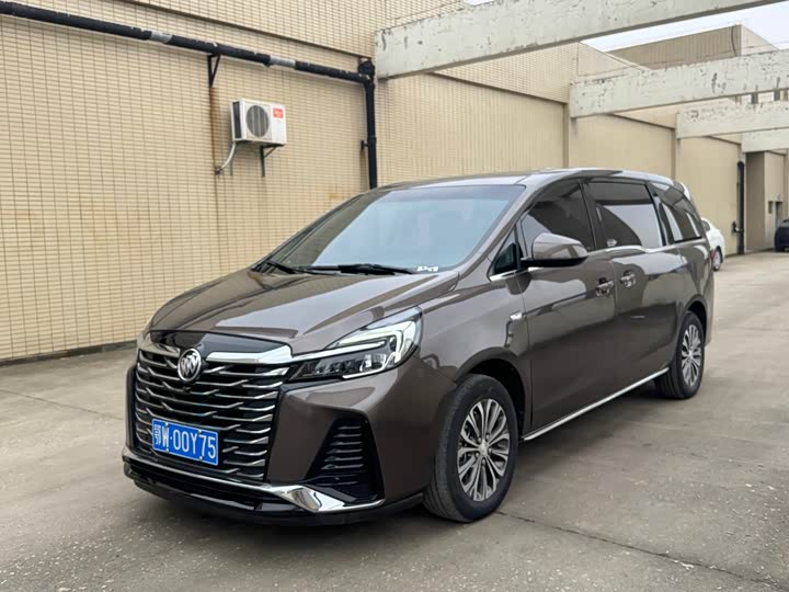 Фото 1 - Buick GL8 ES