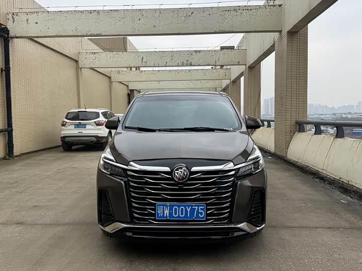 Фото 2 - Buick GL8 ES