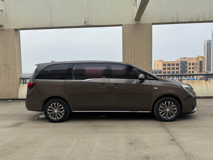 Фото 4 - Buick GL8 ES