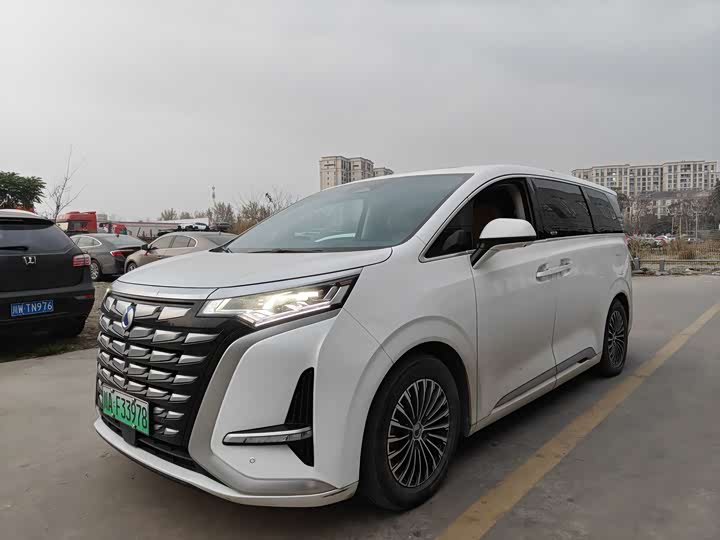 Фото 1 - Denza D9