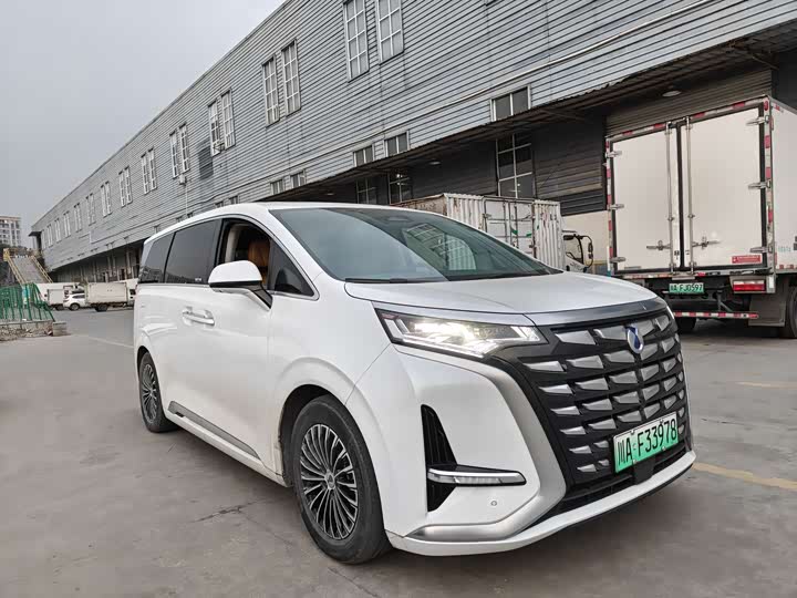 Фото 3 - Denza D9