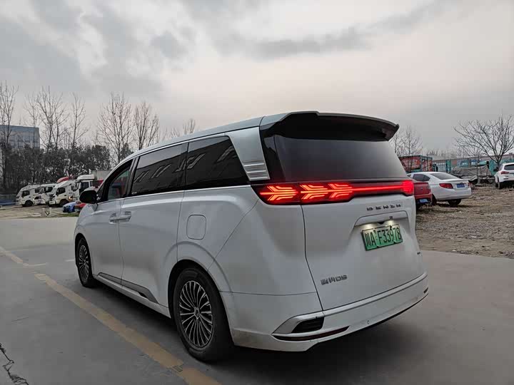 Фото 6 - Denza D9