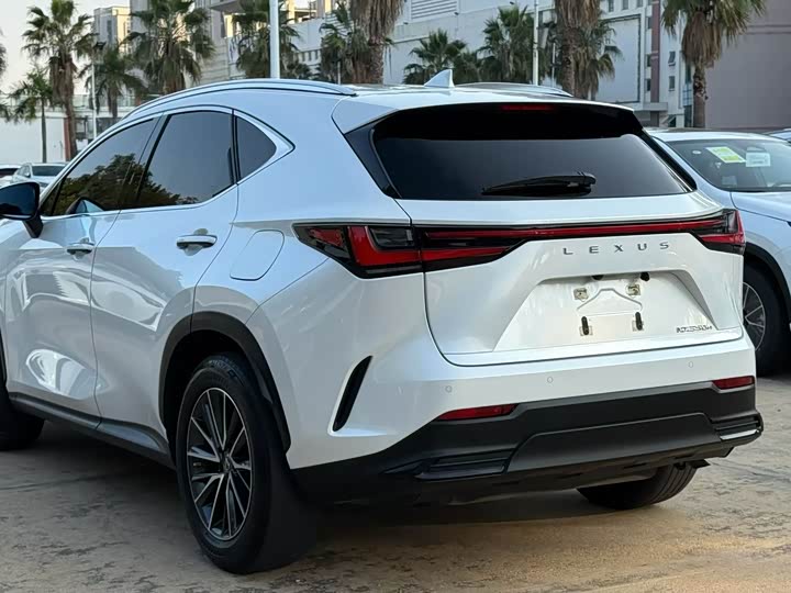 Фото 7 - Lexus NX