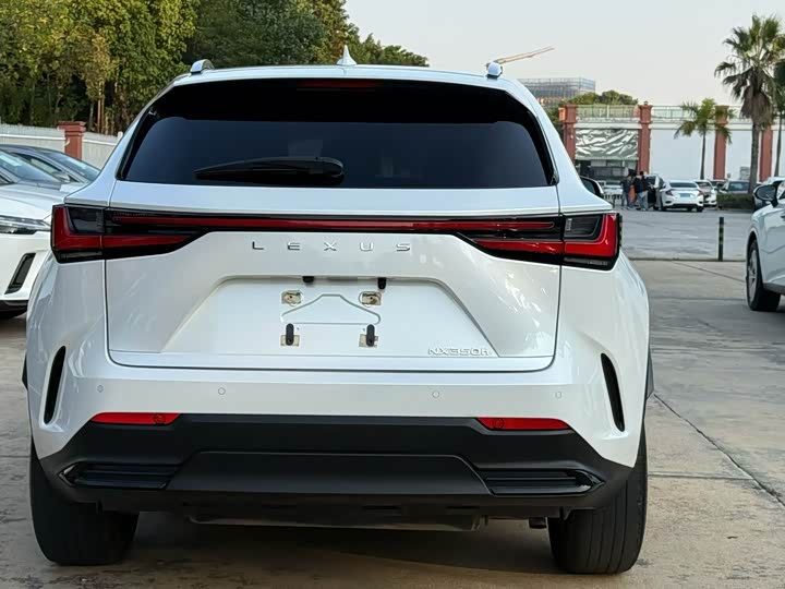 Фото 8 - Lexus NX