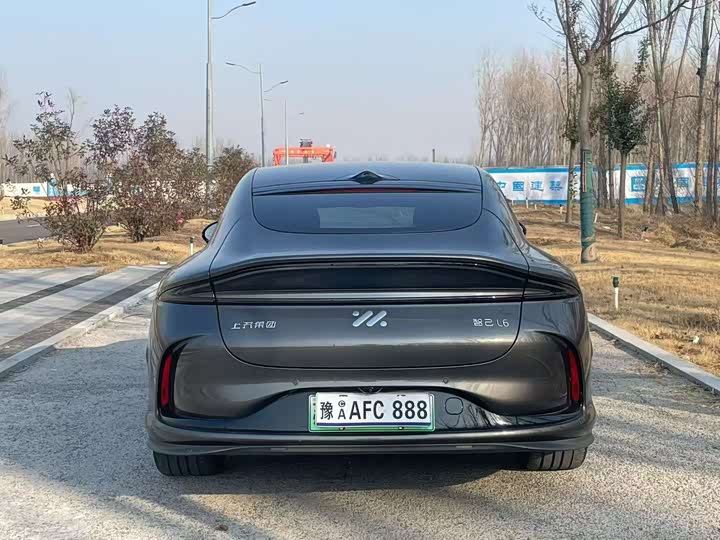 Фото 8 - IM motors L6