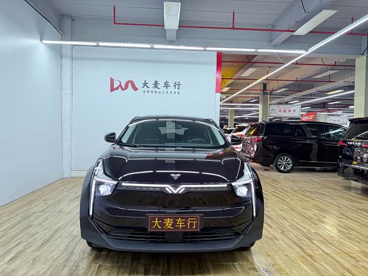 Фото 2 - Hozon U