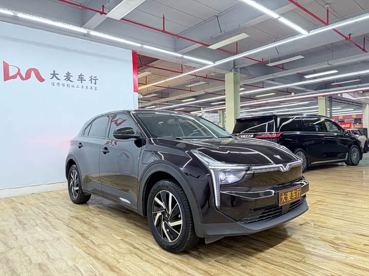 Фото 4 - Hozon U