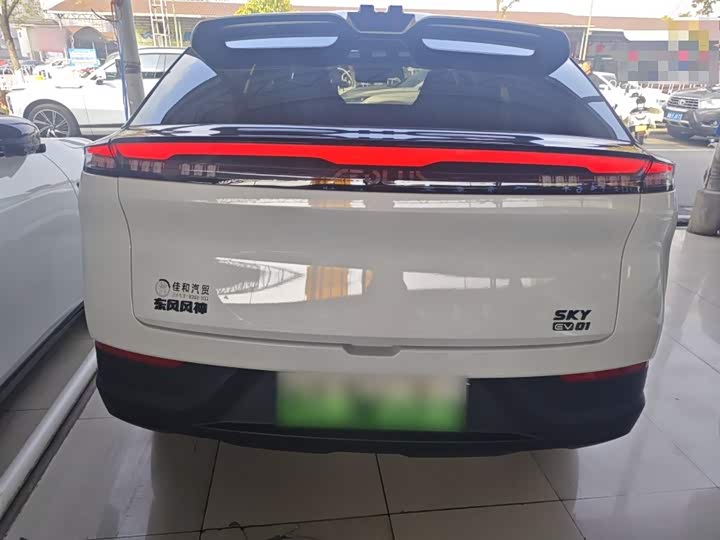 Фото 6 - Dongfeng Aeolus Sky EV01