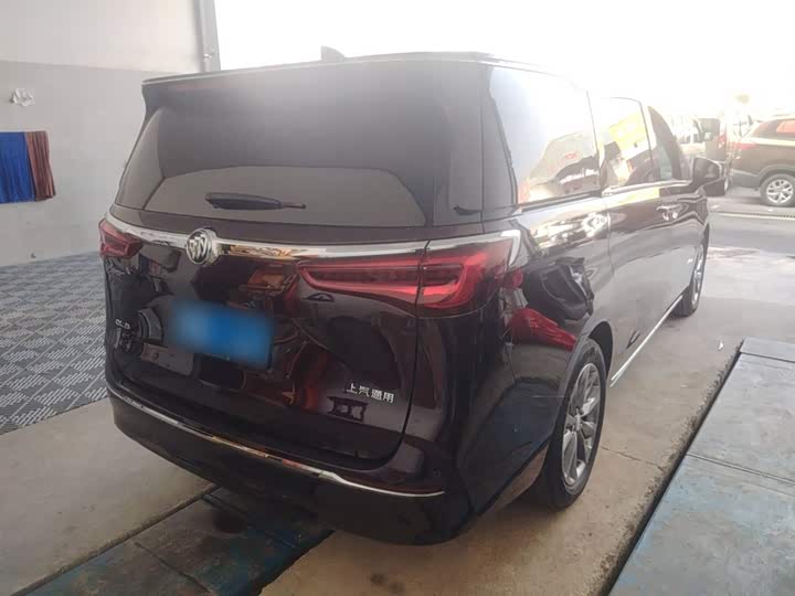 Фото 7 - Buick GL8 ES