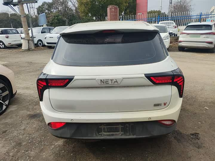 Фото 6 - Hozon V