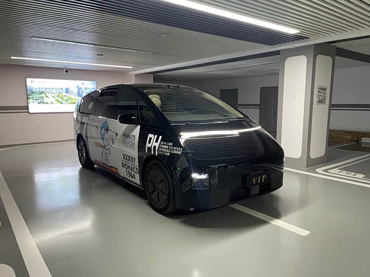 Фото 3 - LiXiang Mega