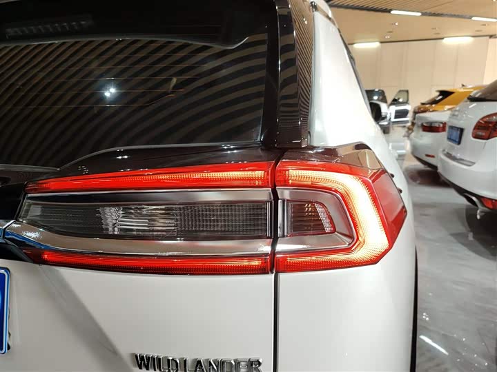 Фото 7 - Toyota Wildlander