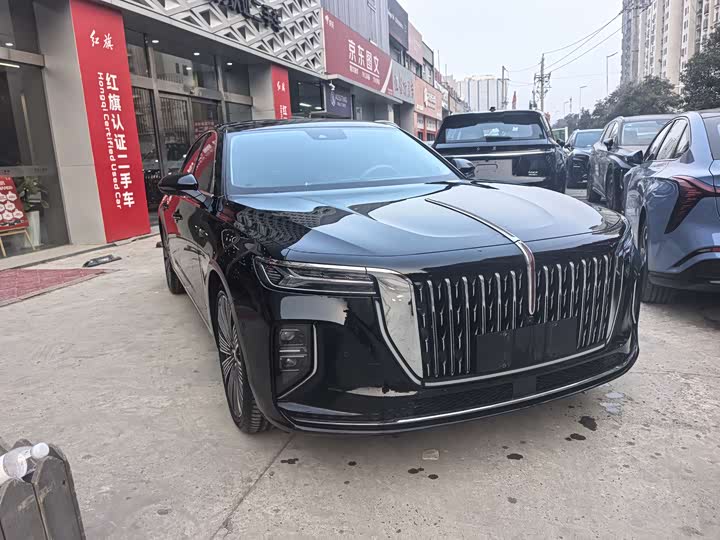Фото 3 - Hongqi H9