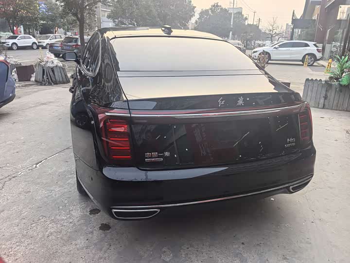 Фото 6 - Hongqi H9